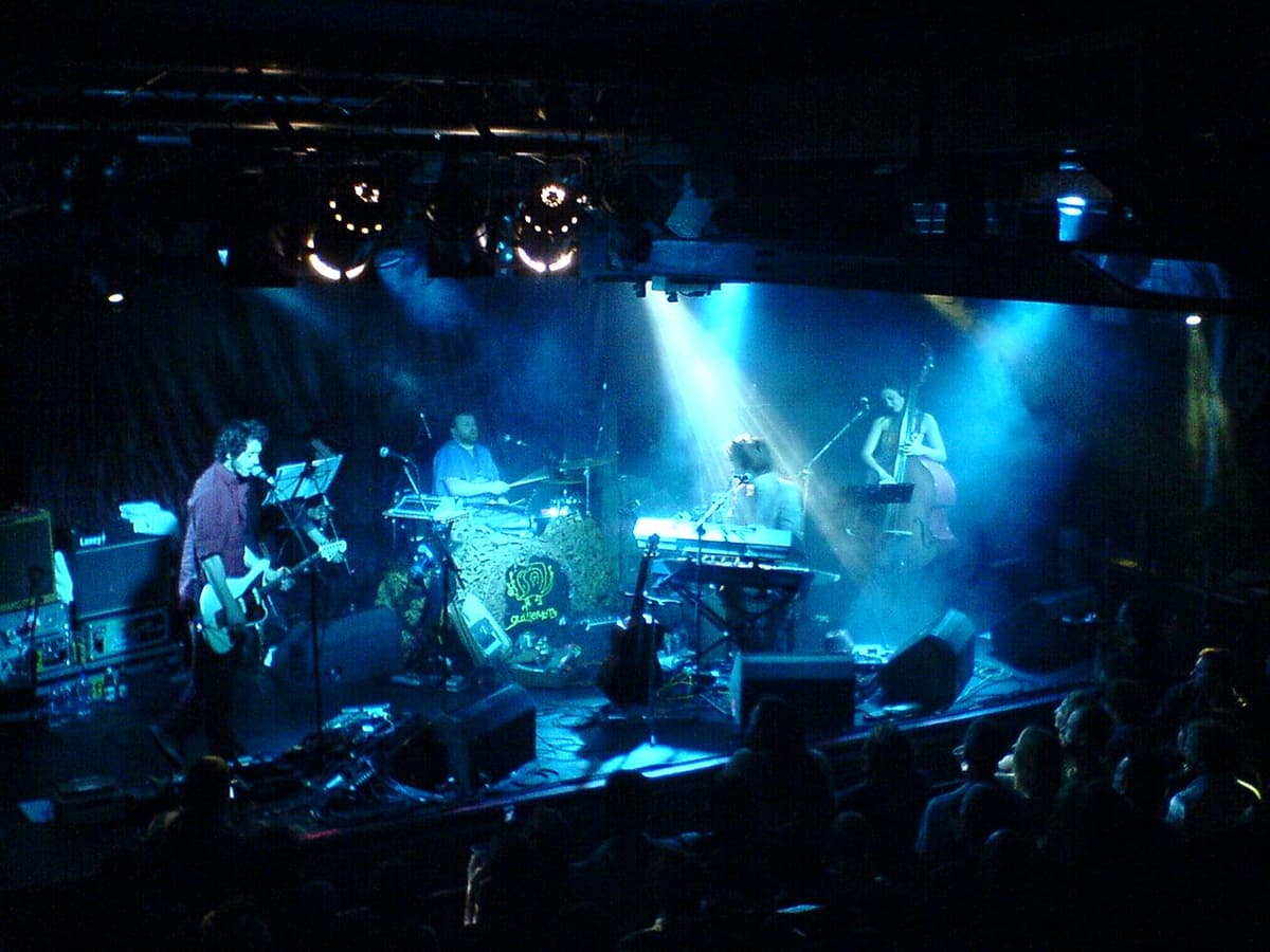Guillemots
