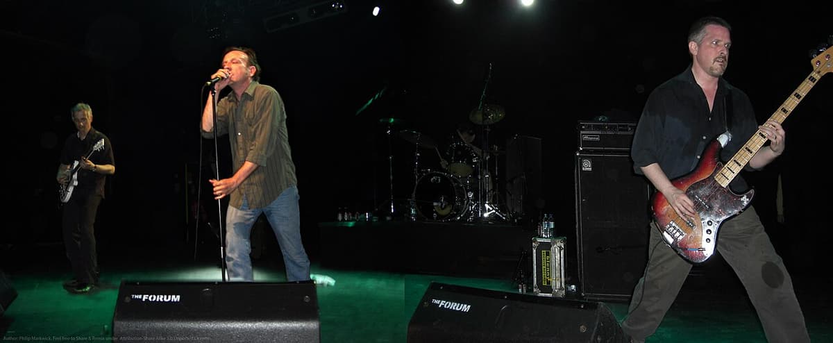 The Jesus Lizard