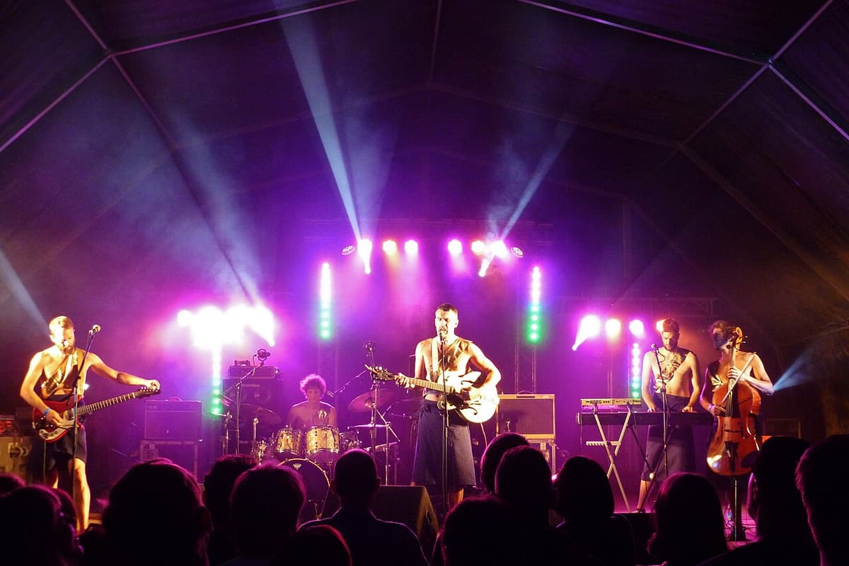 The Hidden Cameras