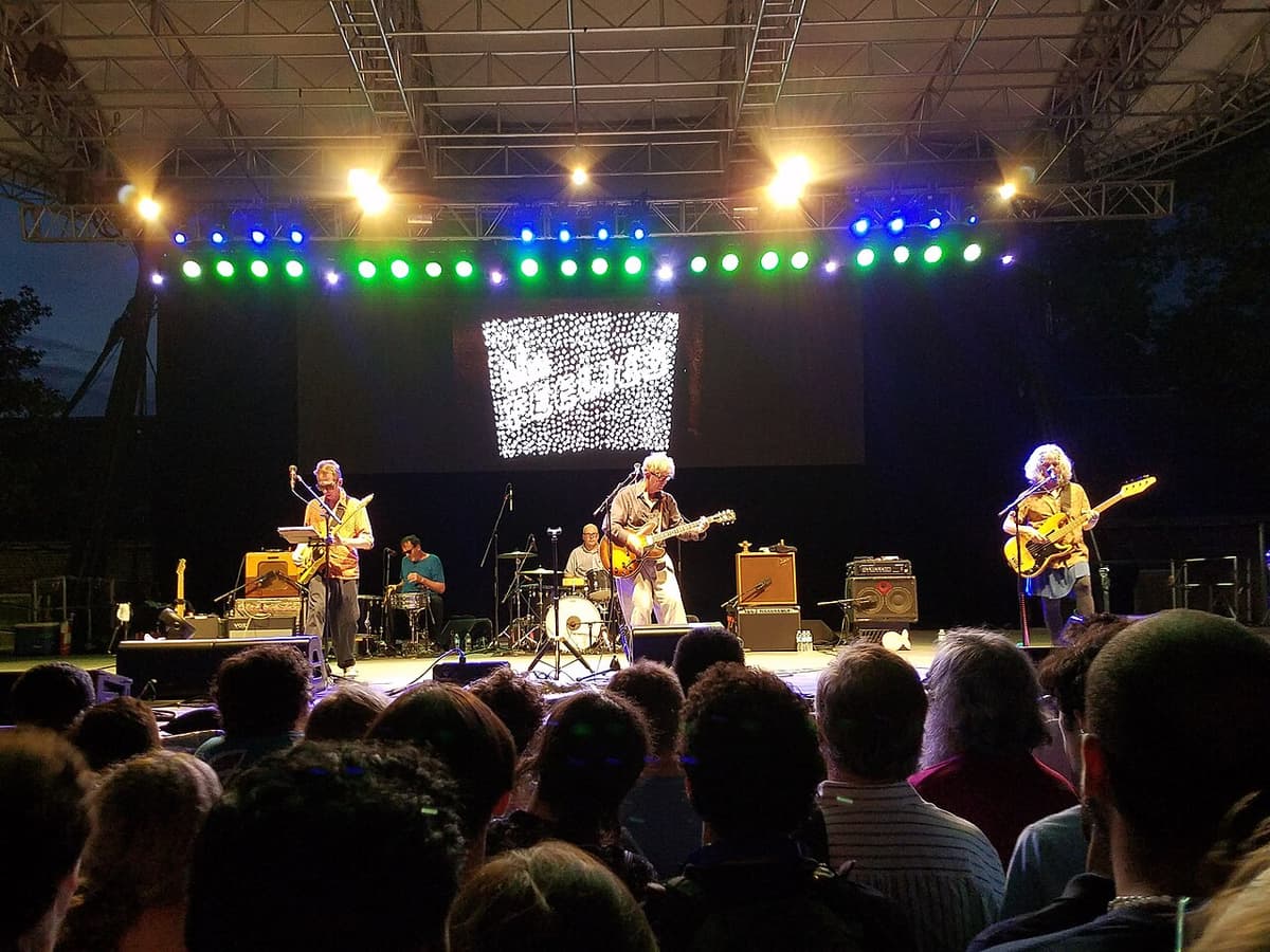 The Feelies