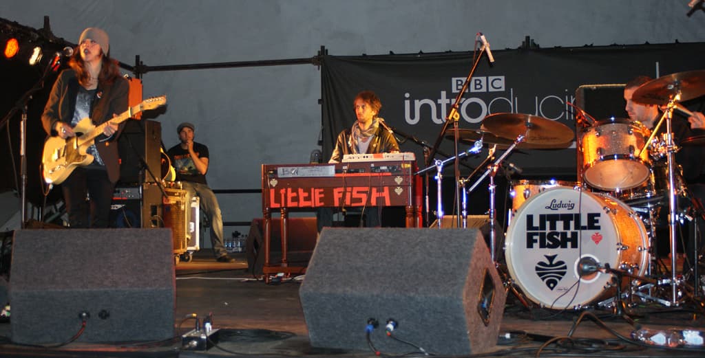 Little Fish