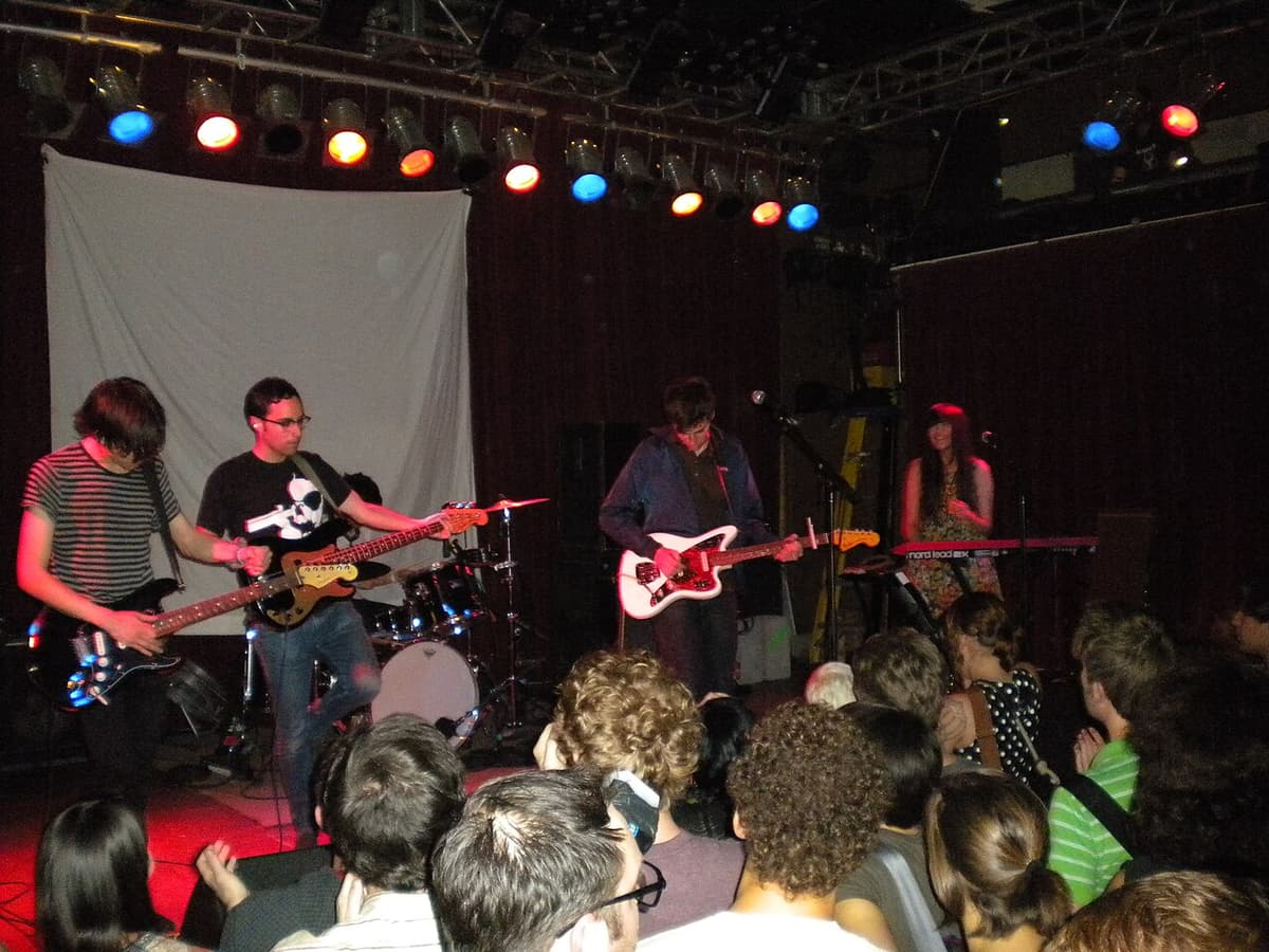 The Pains of Being Pure at Heart