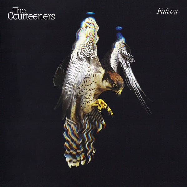 Falcon
