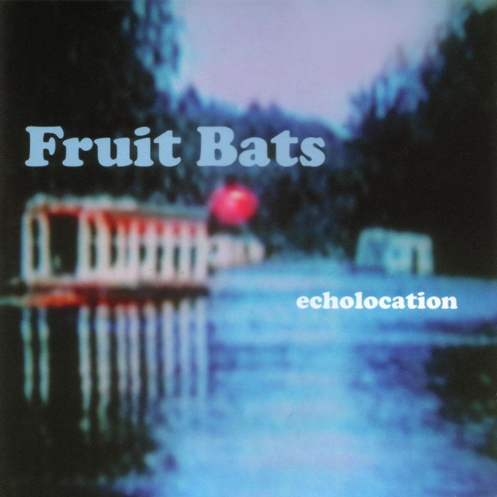 Echolocation