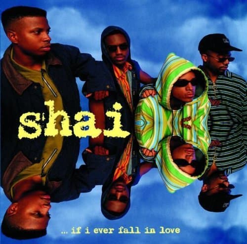 …if I Ever Fall in Love