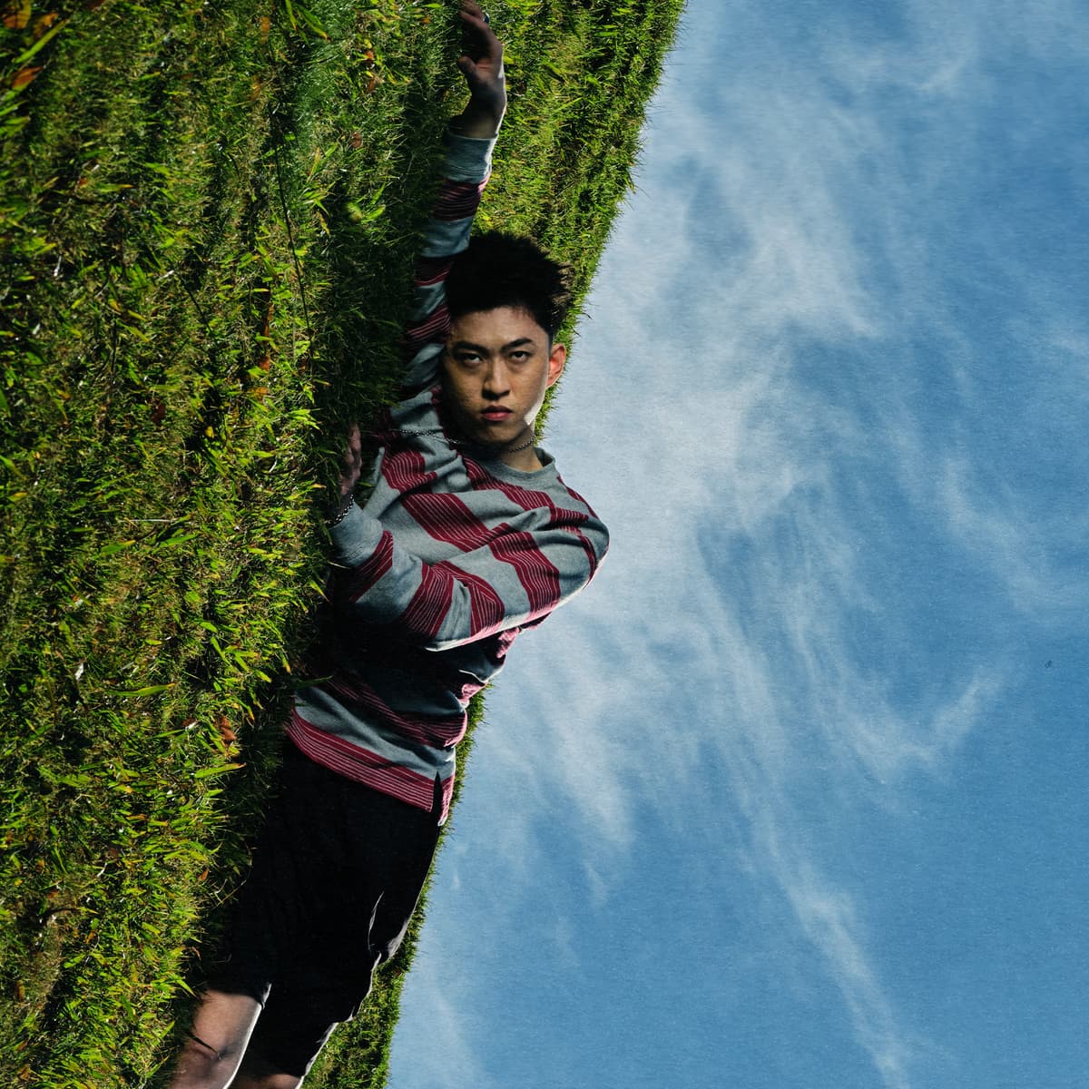 WHERE IS MY HEAD?