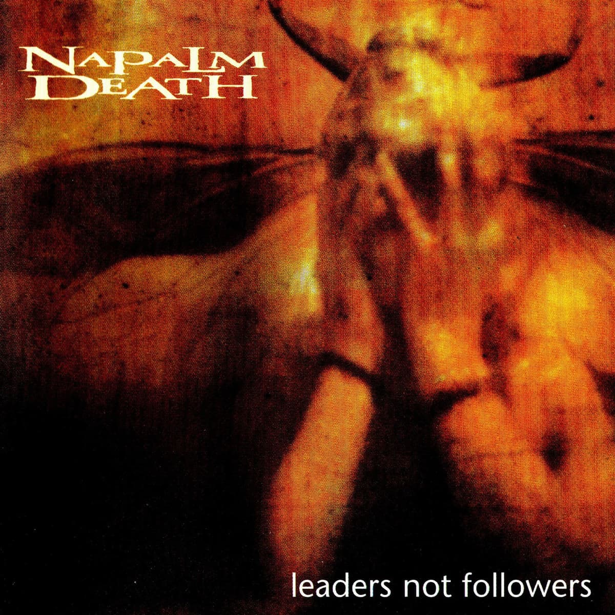 Leaders Not Followers