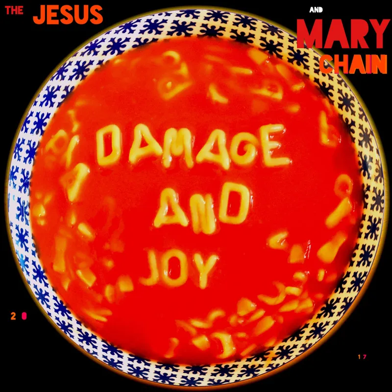 Damage and Joy