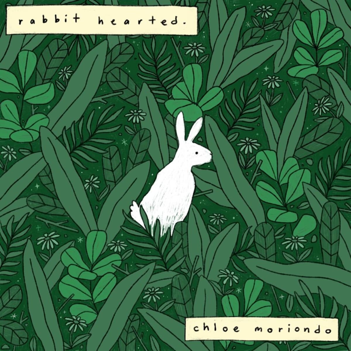rabbit hearted.
