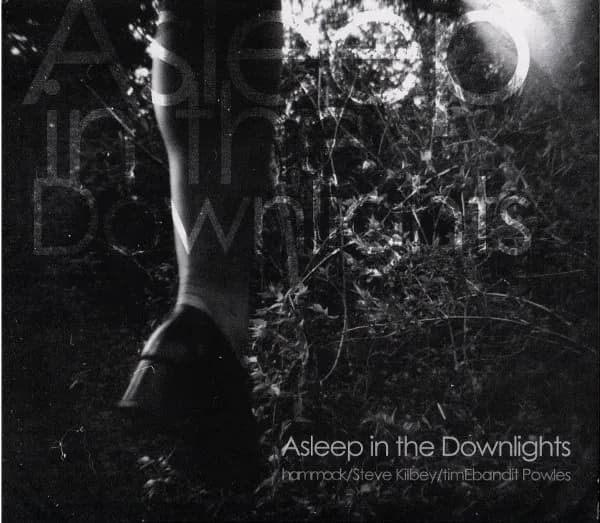 Asleep in the Downlights