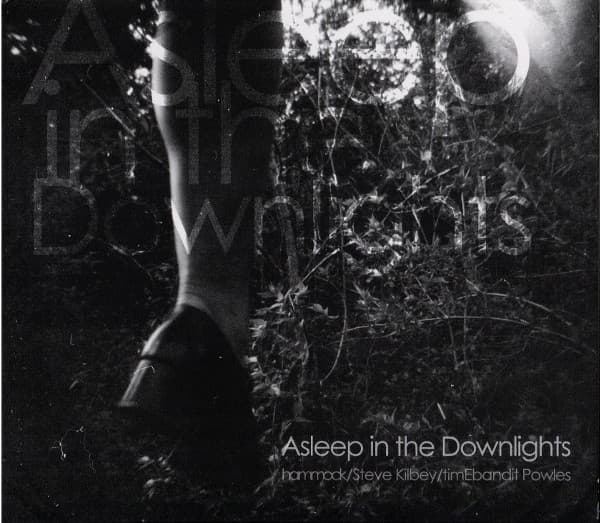 Asleep in the Downlights