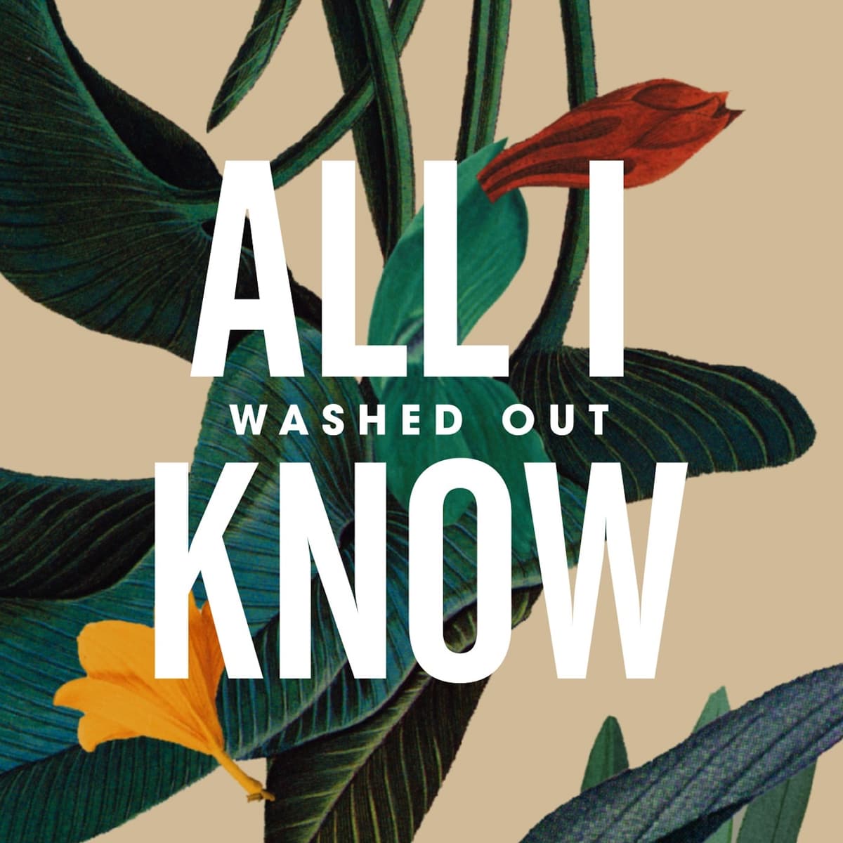 All I Know