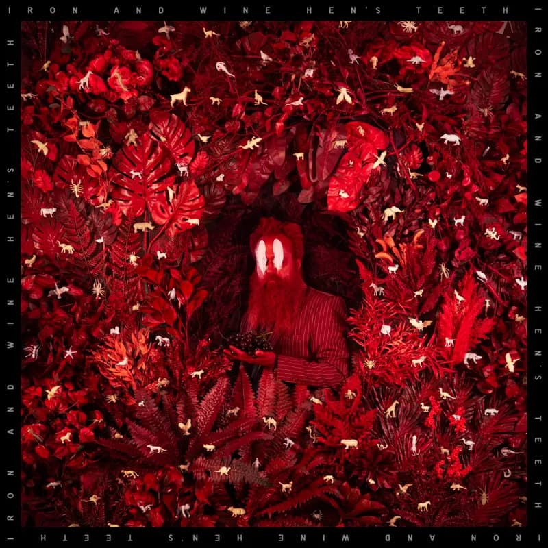 Hen’s Teeth