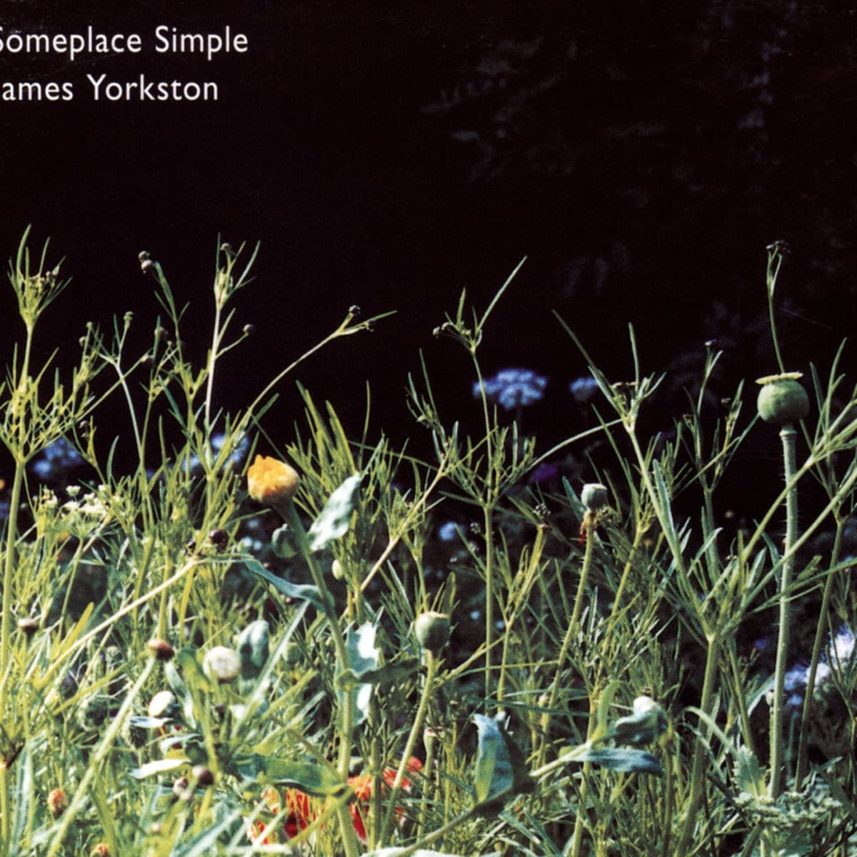 Someplace Simple