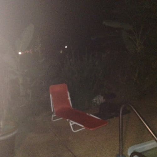 Sitting Wulf