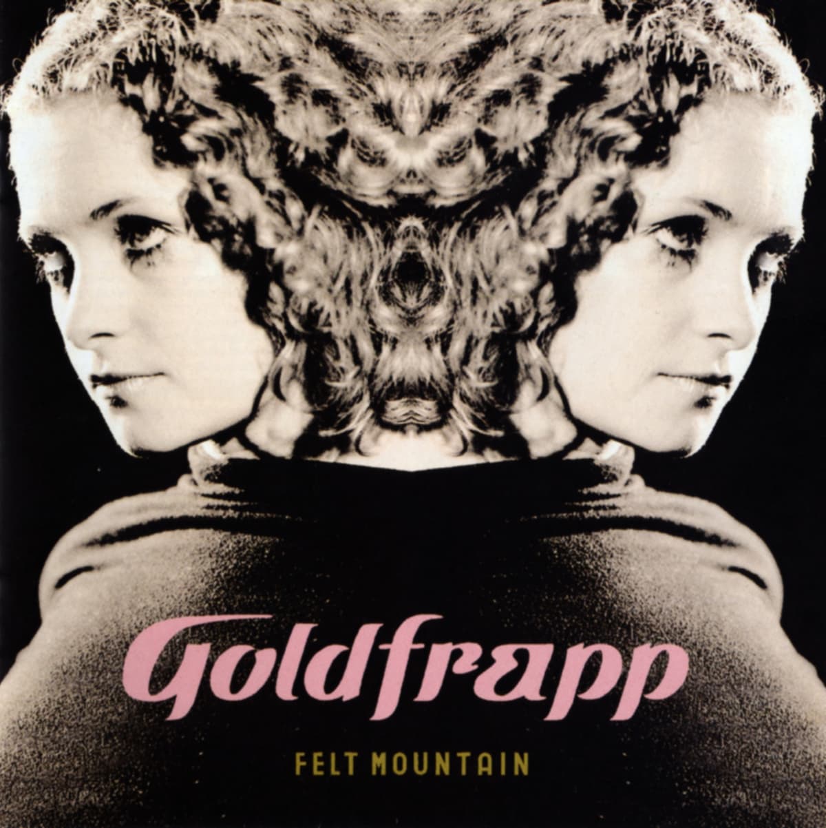 Felt Mountain