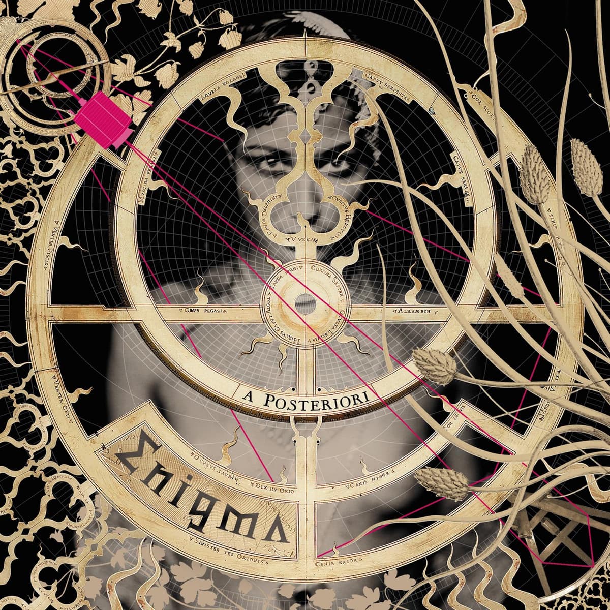 A posteriori (Private Lounge remix)