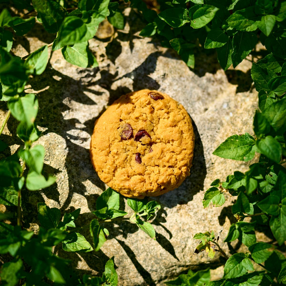 Cookie Clicker