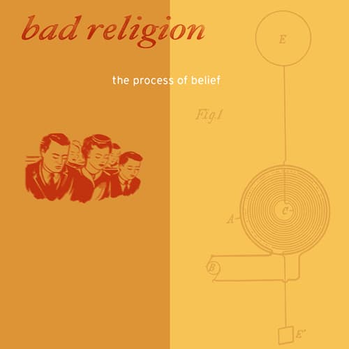 The Process of Belief