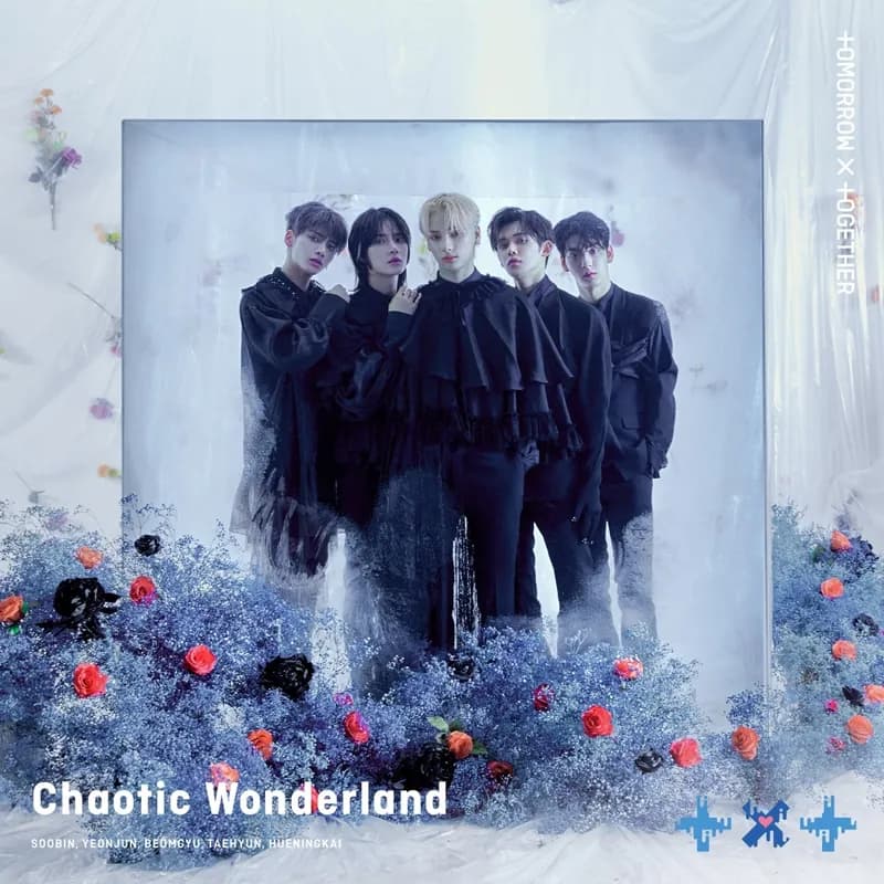 Chaotic Wonderland