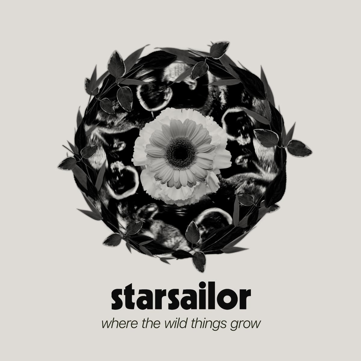 Where the Wild Things Grow