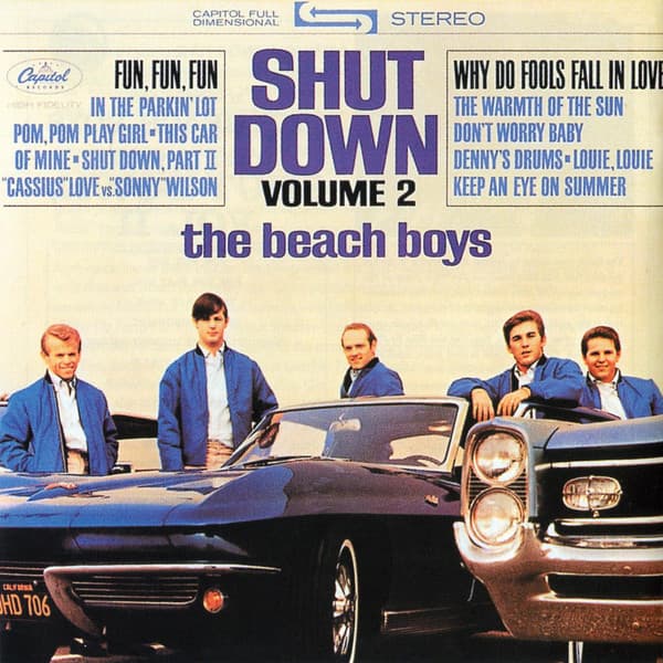 Shut Down, Volume 2