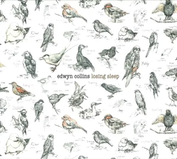Losing Sleep