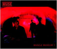 Muscle Museum