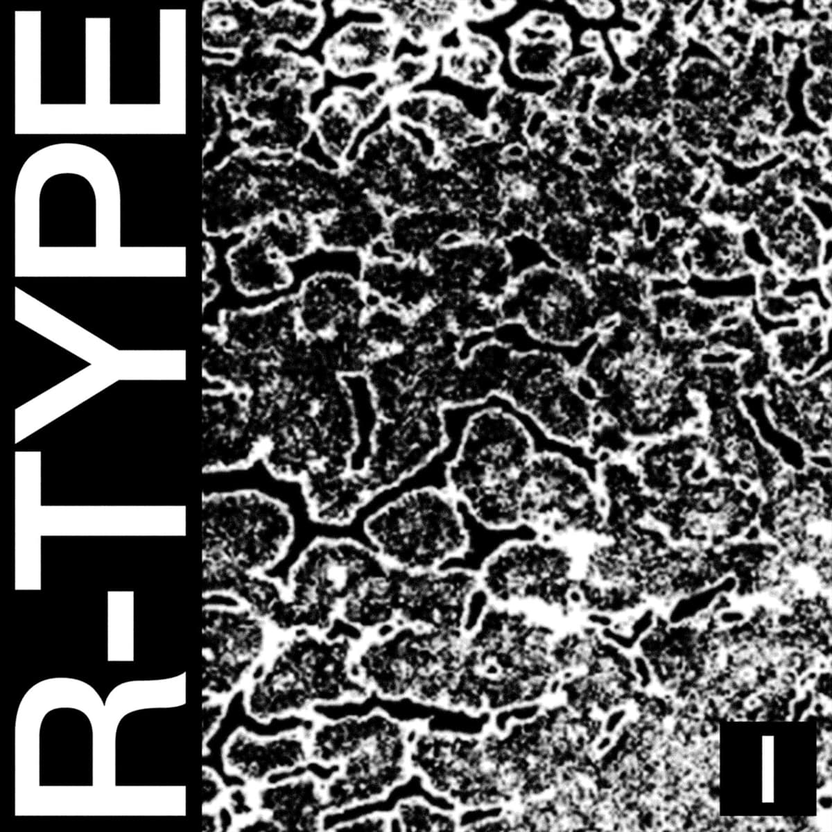 R-TYPE I
