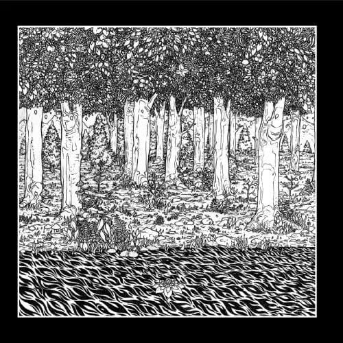Through the Trees