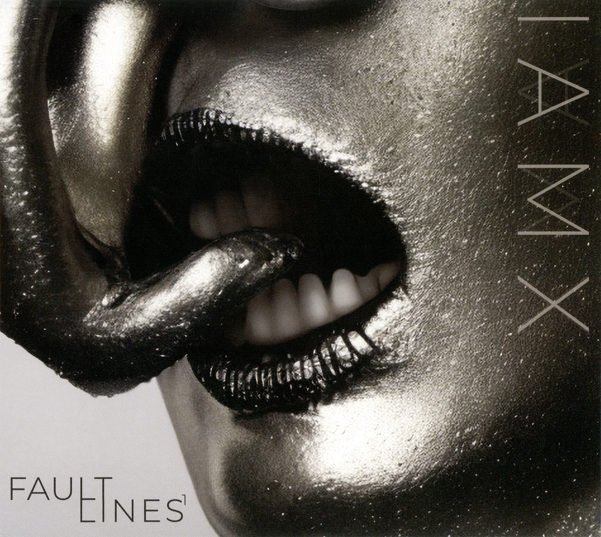 Fault Lines¹