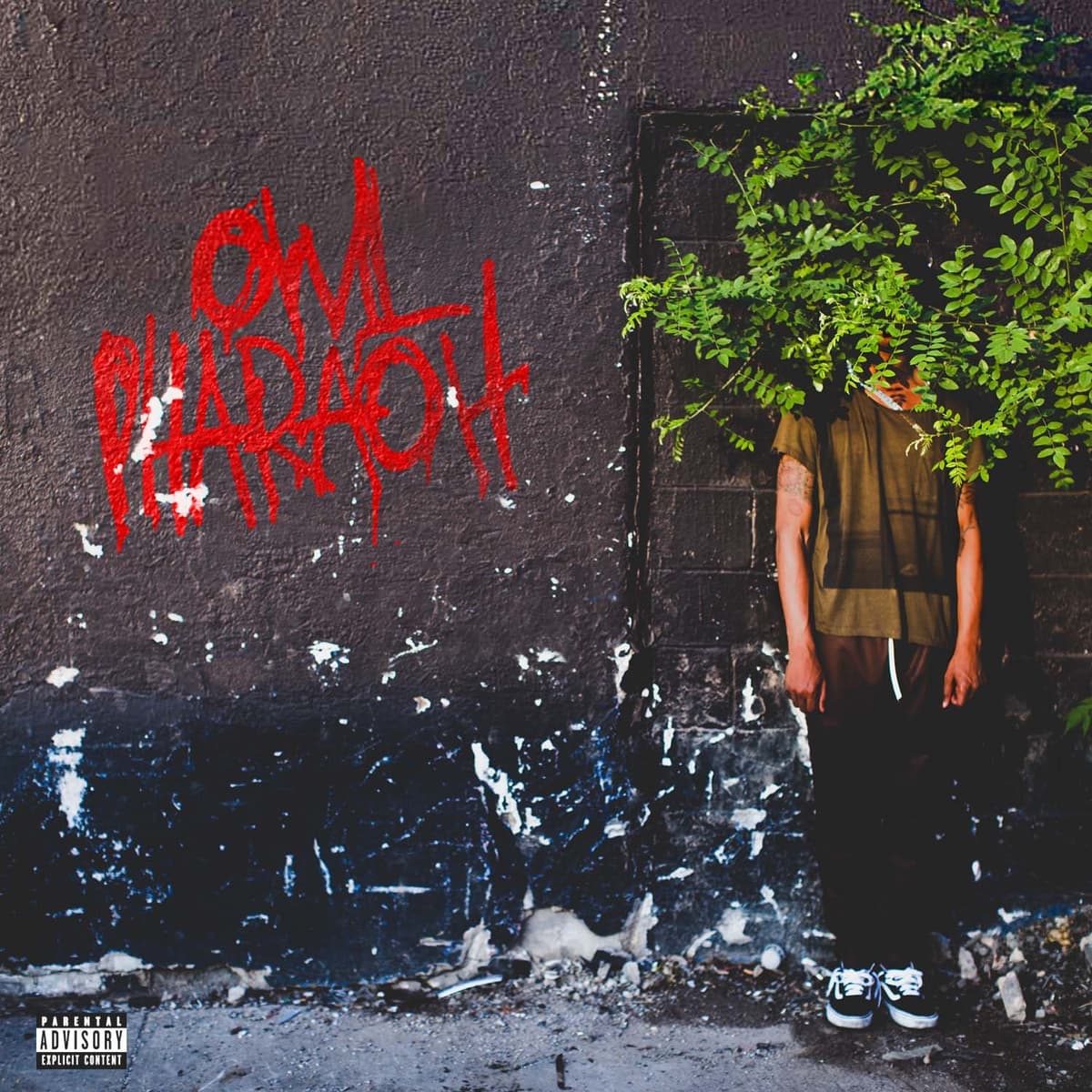 Owl Pharaoh