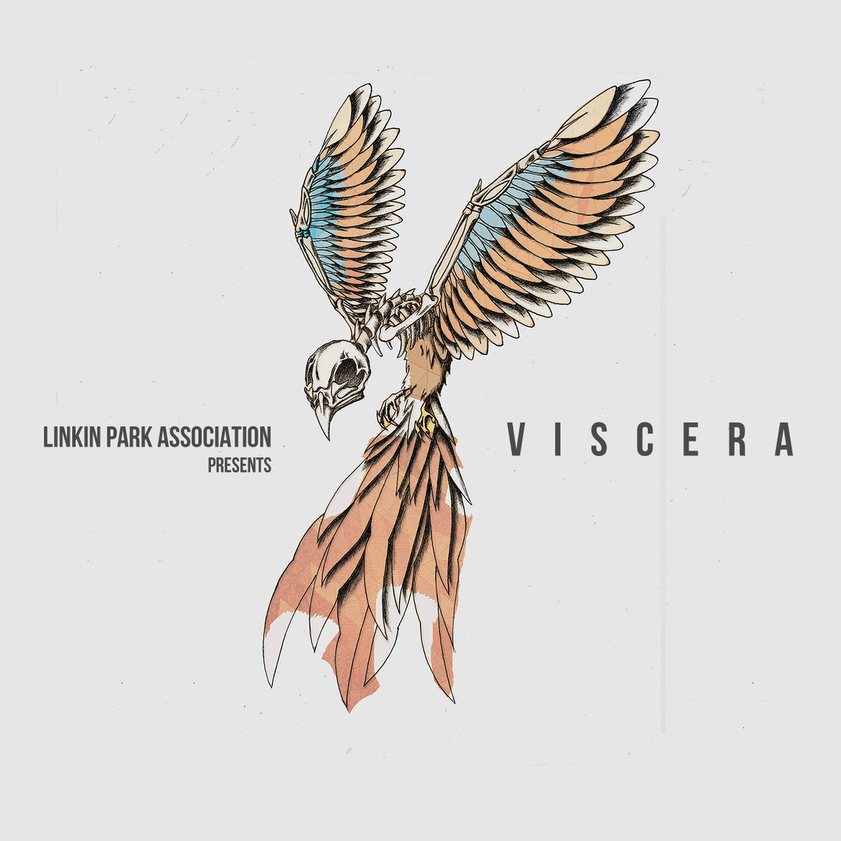 VISCERA
