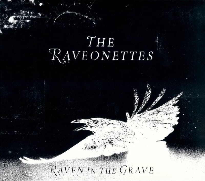 Raven in the Grave