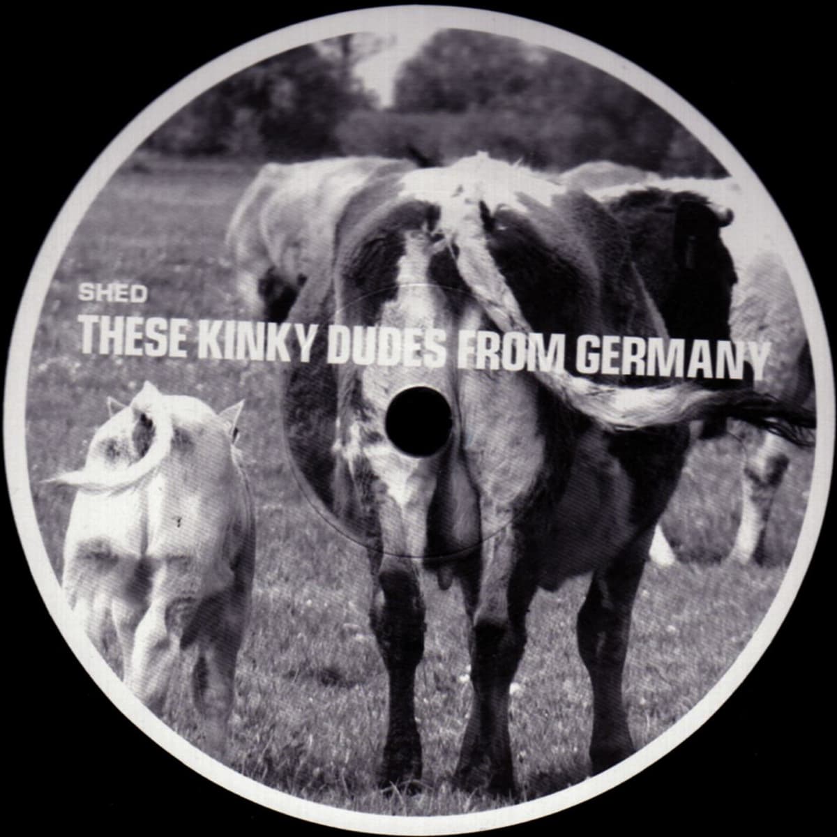 These Kinky Dudes From Germany