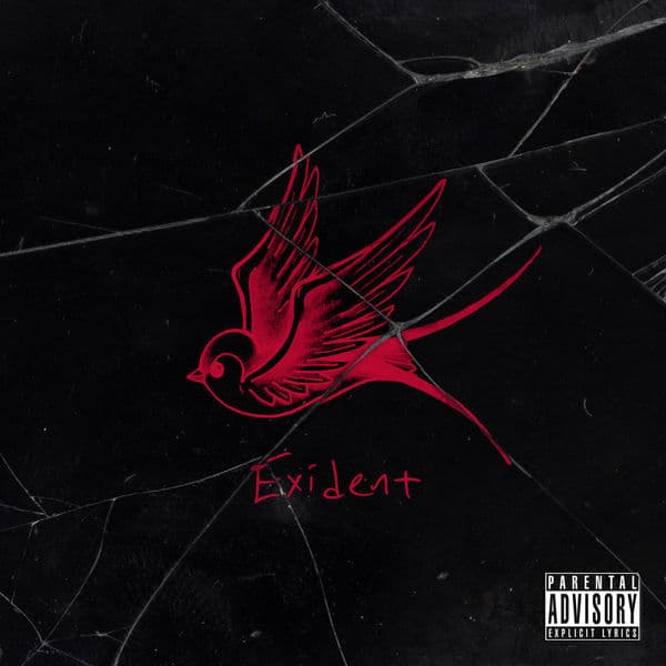 Exident
