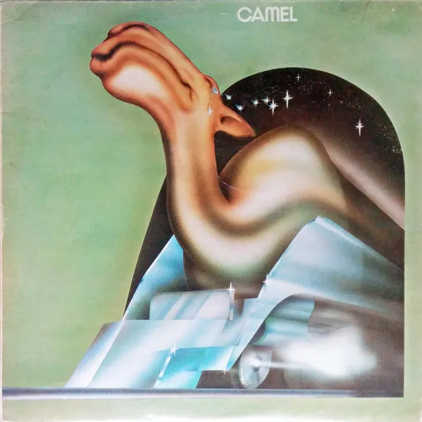 Camel