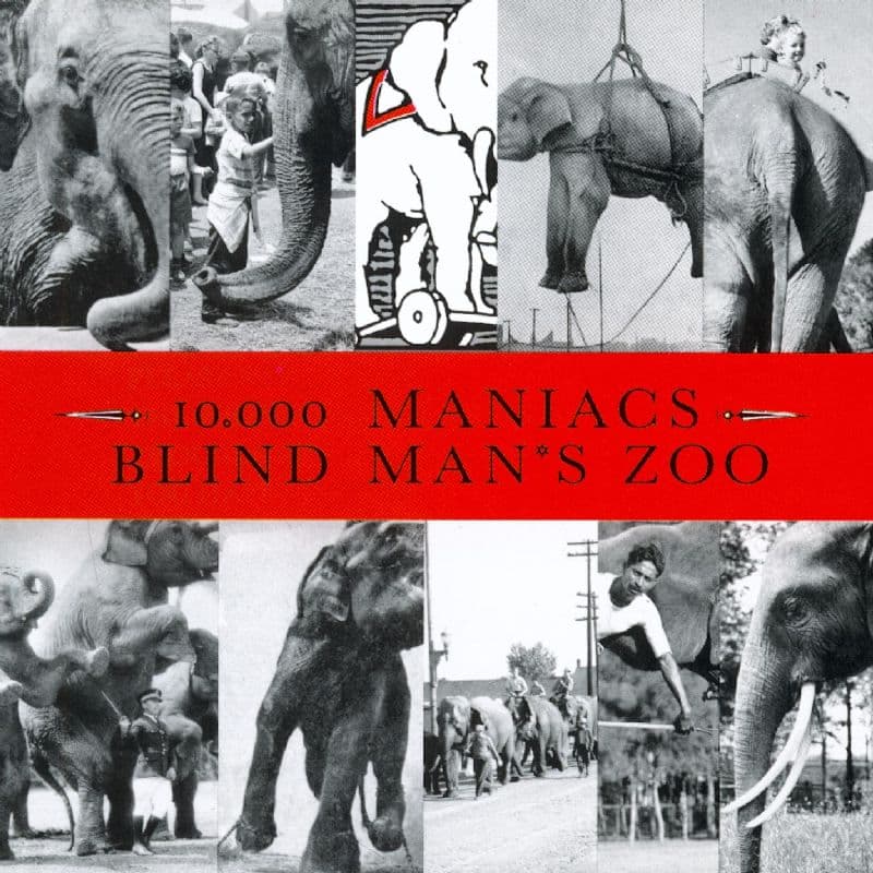 Blind Man’s Zoo