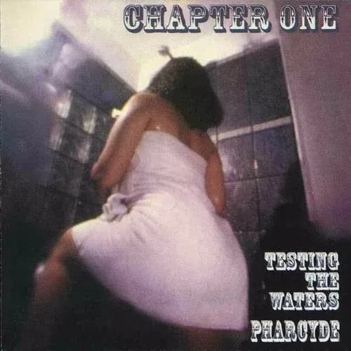 Chapter One: Testing the Waters