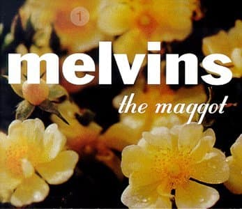 The Maggot