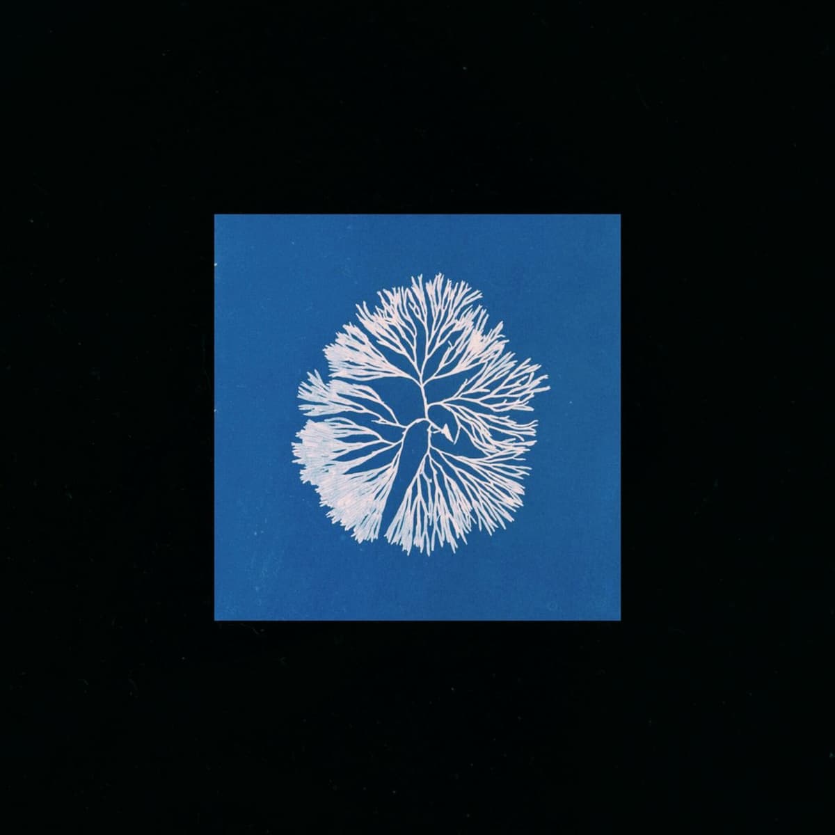 Silk Noise Reflex