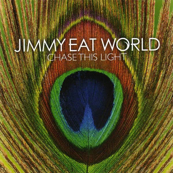 Chase This Light
