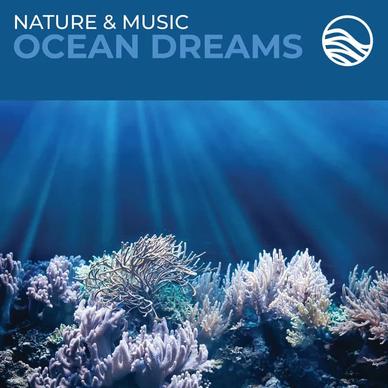 Ocean Dreams