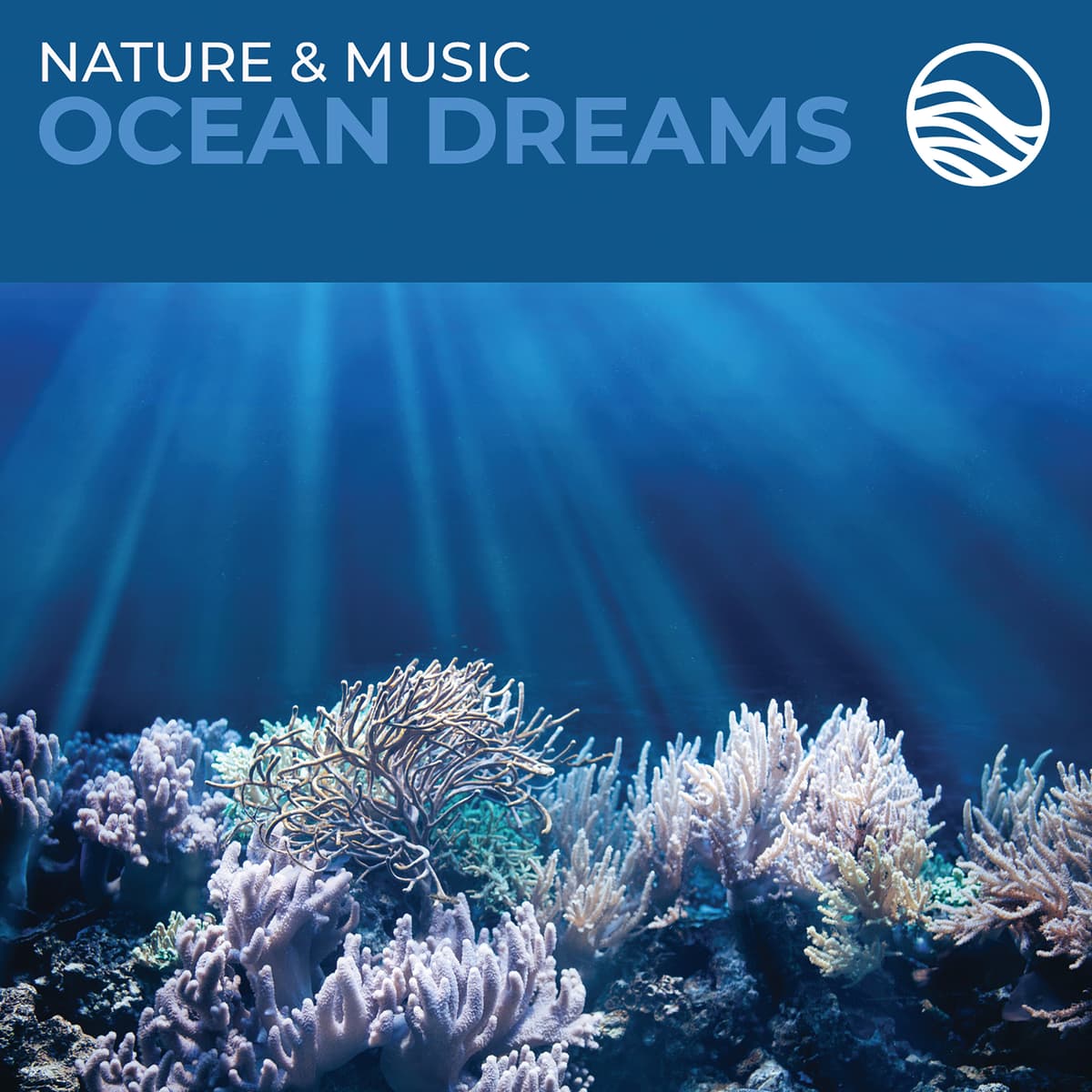 Ocean Dreams